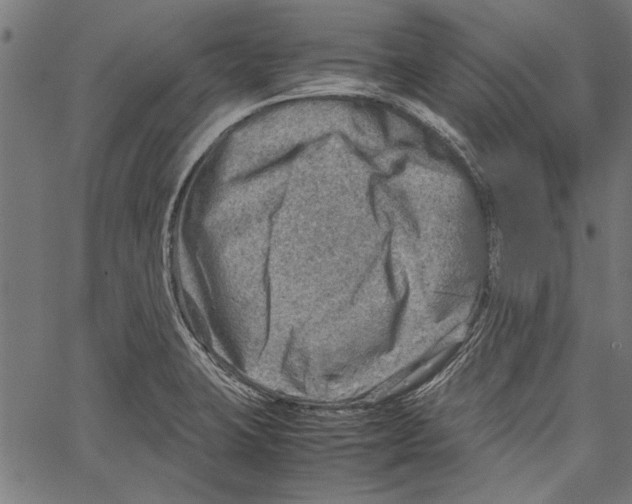 X0000062131423200601060846