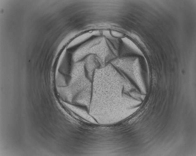 X0000062131424200601060846