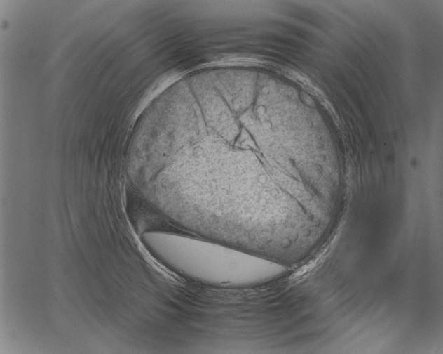 X0000062131425200601060846