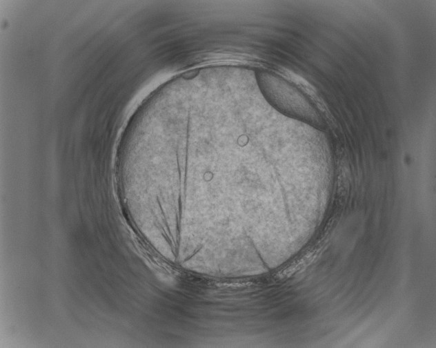 X0000062131427200601060846