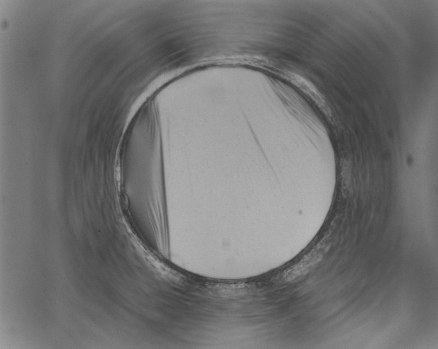 X0000062131428200601060846