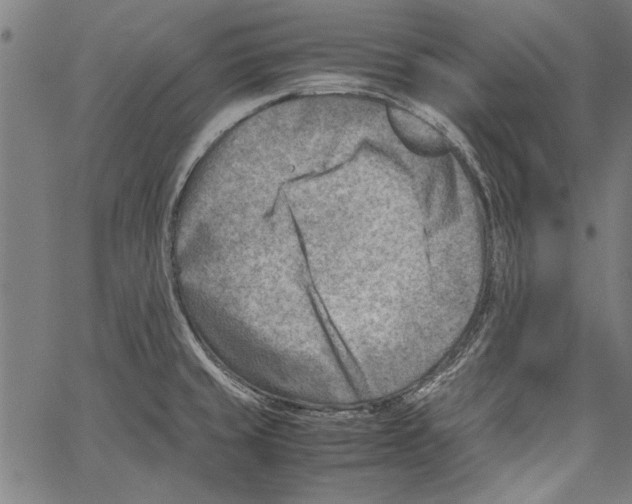 X0000062131429200601060846