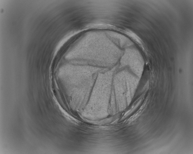 X0000062131430200601060846