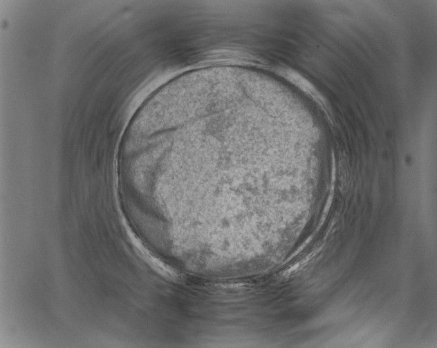 X0000062131431200601060846