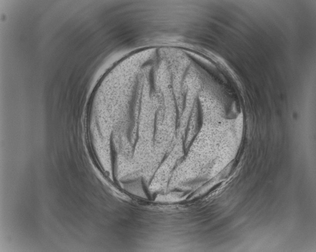 X0000062131432200601060846