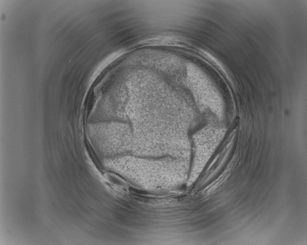 X0000062131434200601060846