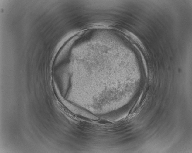 X0000062131435200601060846