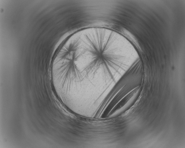 X0000062131436200601060846