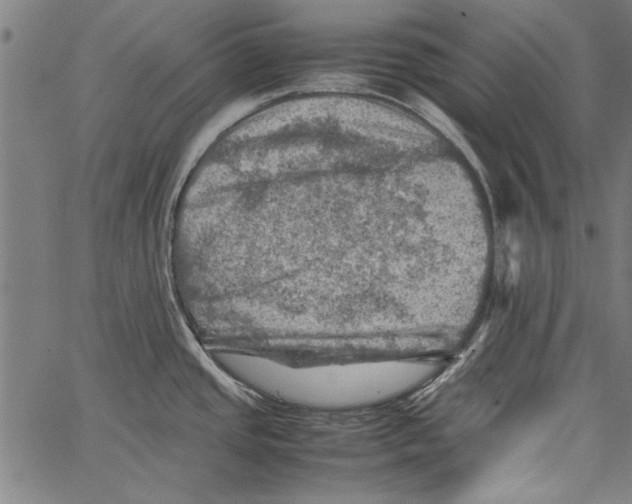 X0000062131437200601060846