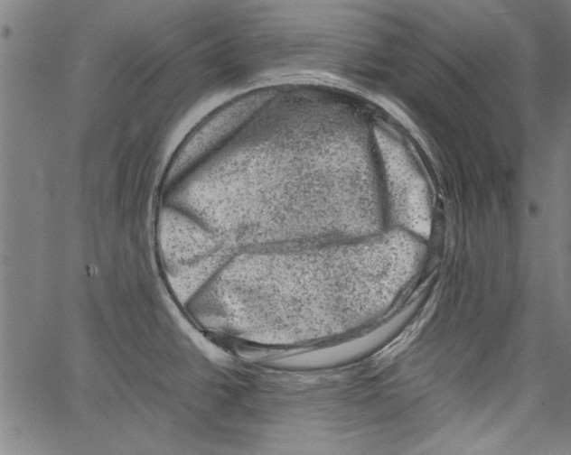 X0000062131438200601060846