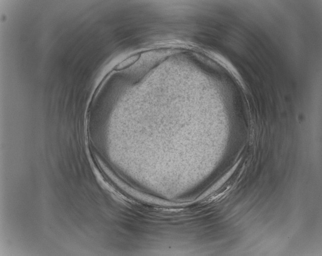 X0000062131439200601060846