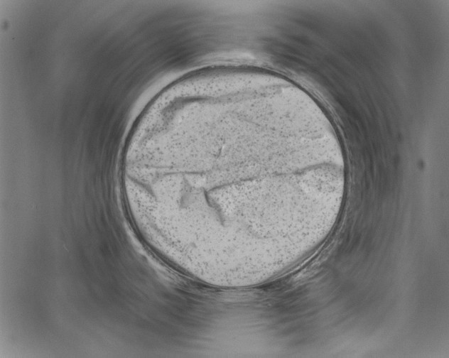 X0000062131440200601060846