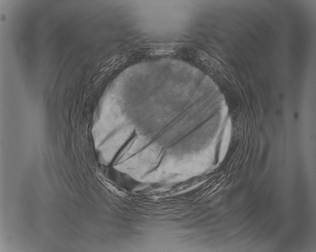 X0000062131441200601060845