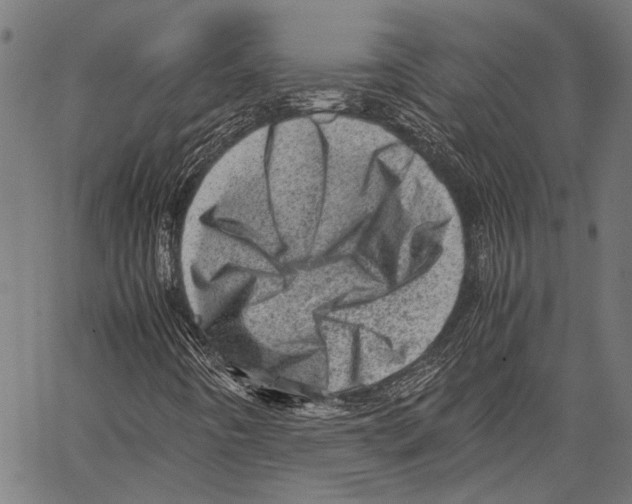 X0000062131442200601060845