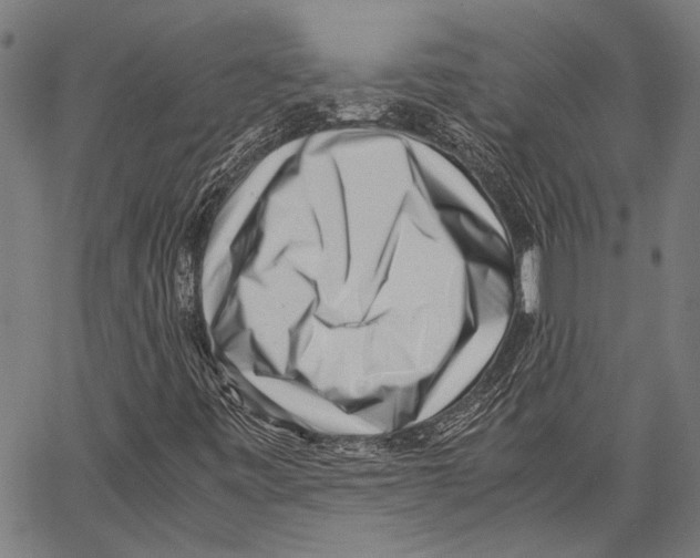 X0000062131443200601060845