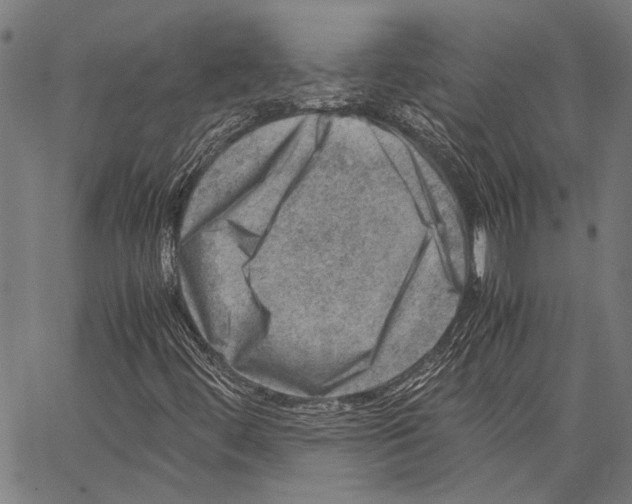 X0000062131444200601060845