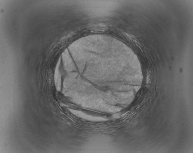 X0000062131445200601060845