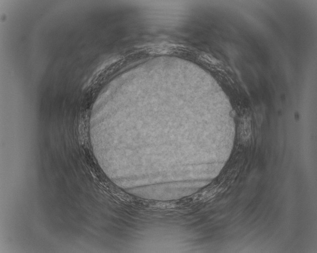 X0000062131446200601060845