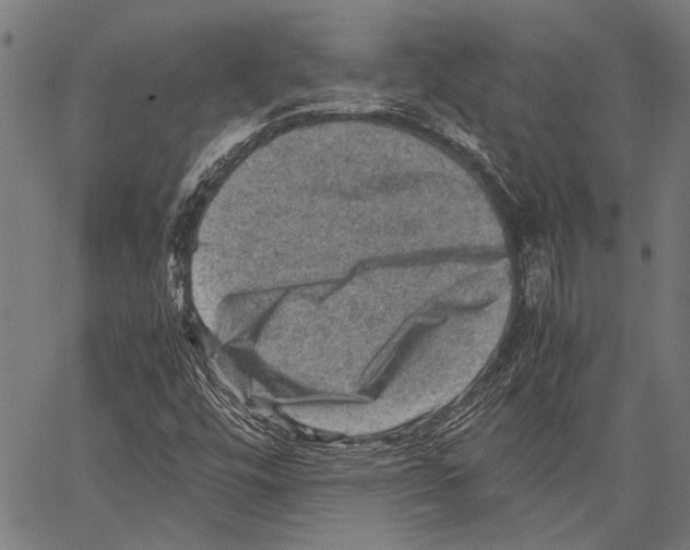 X0000062131448200601060845