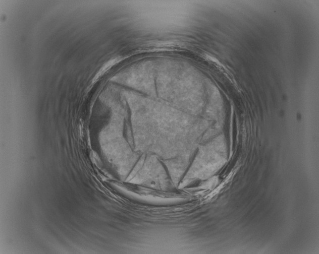 X0000062131449200601060845