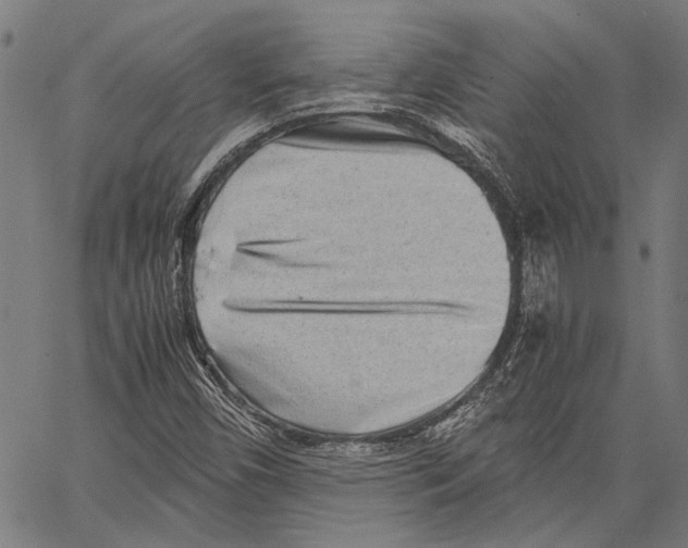 X0000062131450200601060845