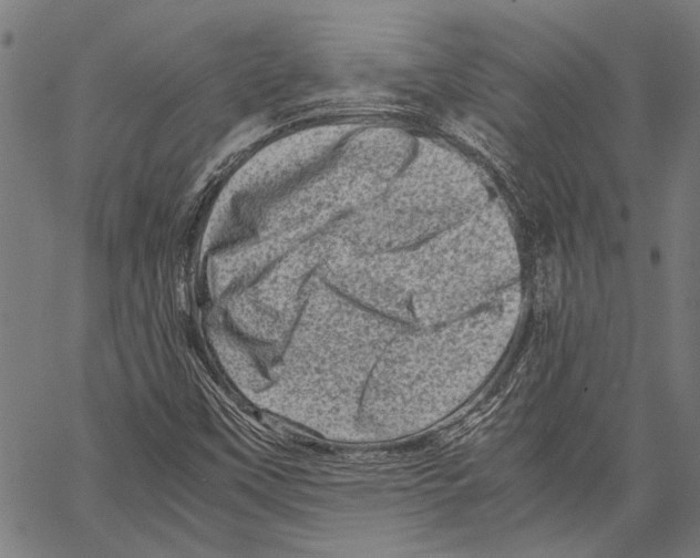 X0000062131451200601060845