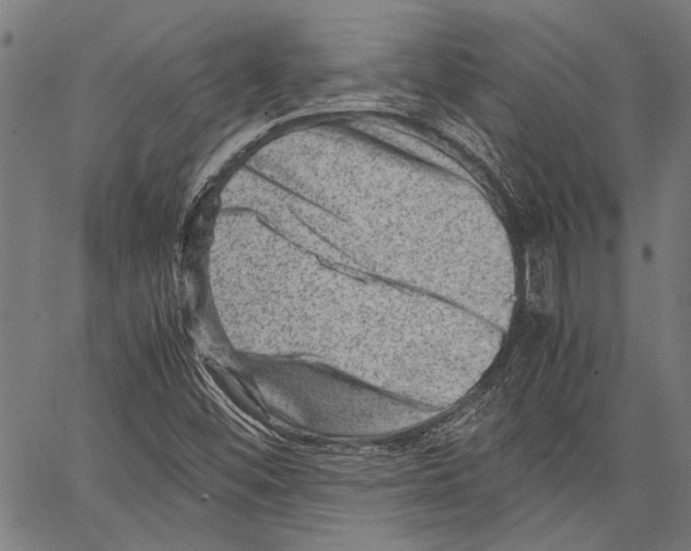 X0000062131452200601060845