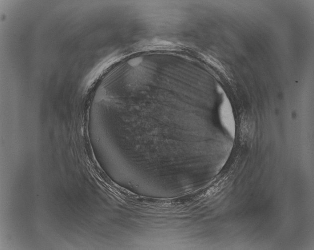 X0000062131455200601060845