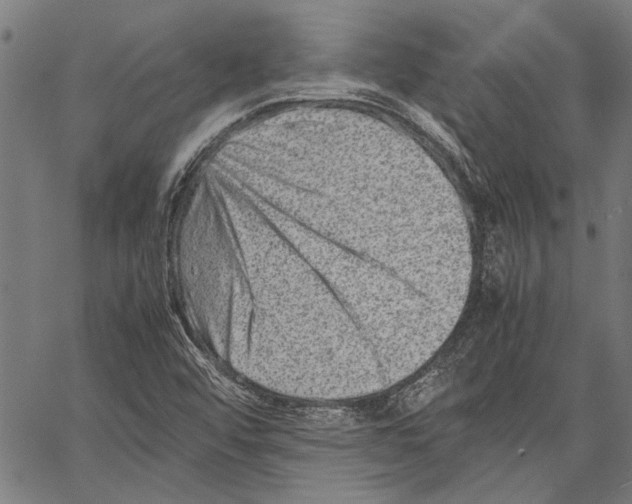 X0000062131456200601060845