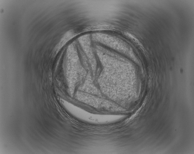 X0000062131457200601060845