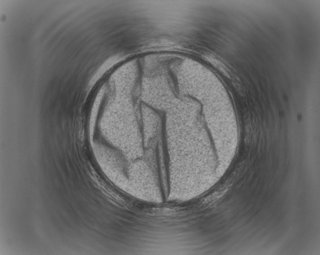 X0000062131458200601060845