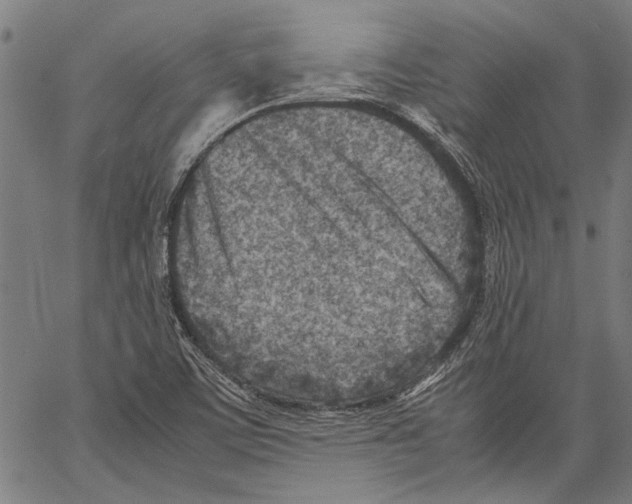 X0000062131459200601060845