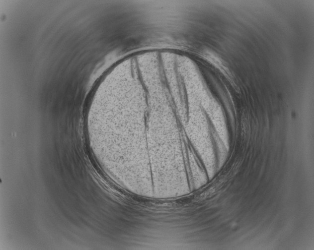 X0000062131460200601060845