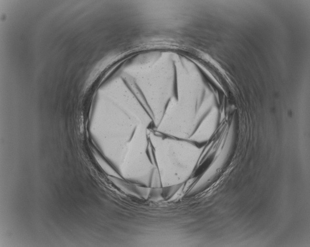 X0000062131461200601060845