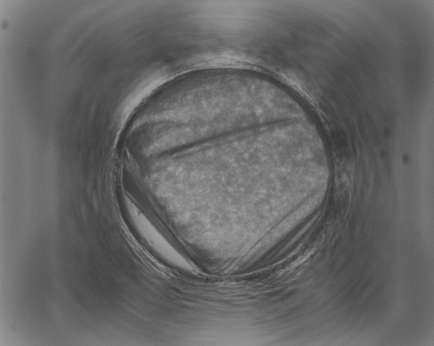 X0000062131463200601060845