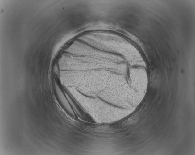 X0000062131464200601060845