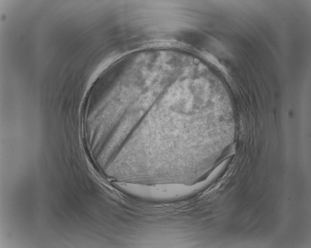 X0000062131467200601060845