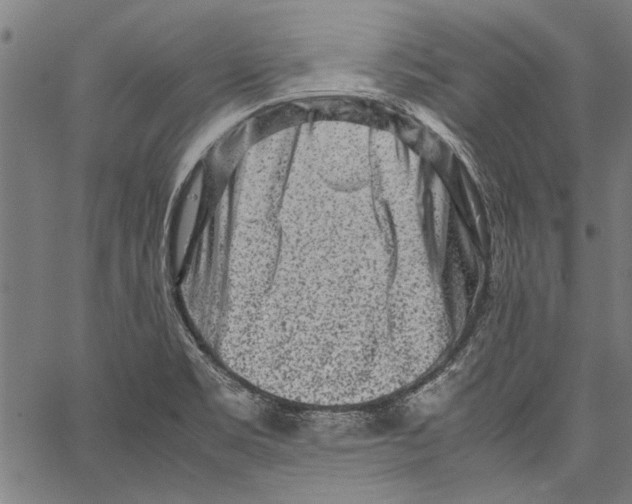 X0000062131469200601060845