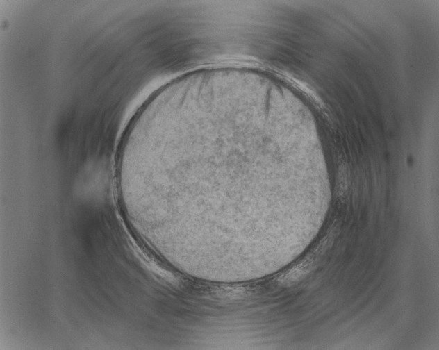 X0000062131470200601060845