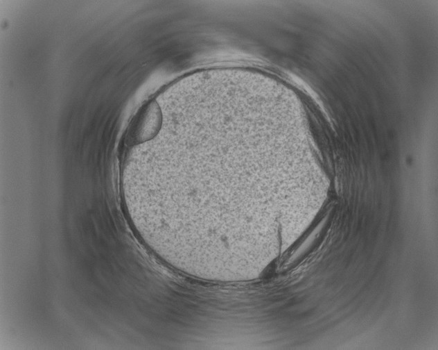 X0000062131472200601060845