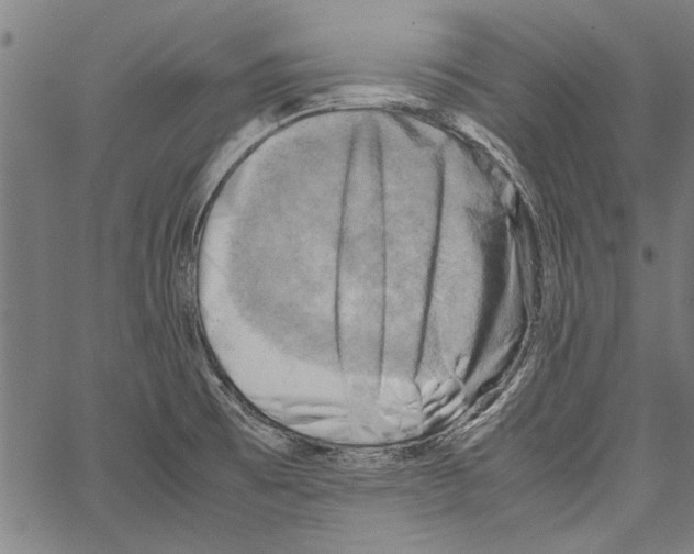 X0000062131473200601060845