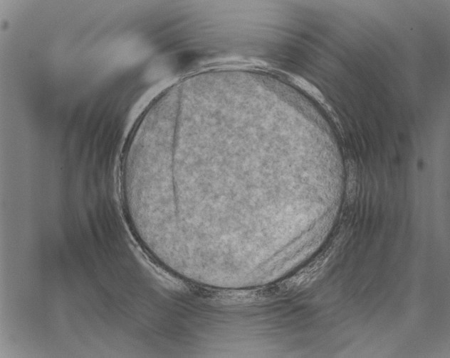 X0000062131474200601060845