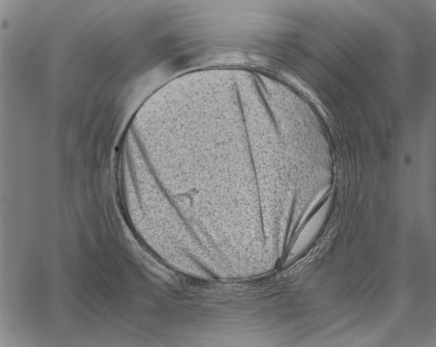 X0000062131475200601060845