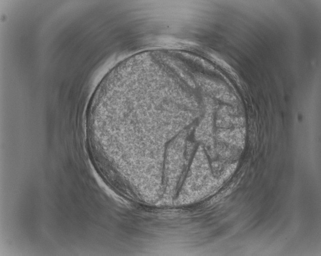 X0000062131479200601060845