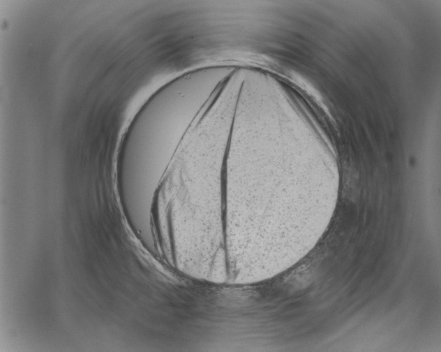 X0000062131480200601060845