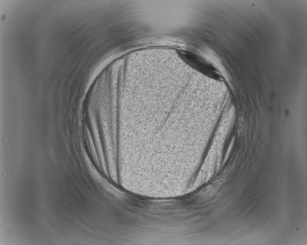 X0000062131483200601060845