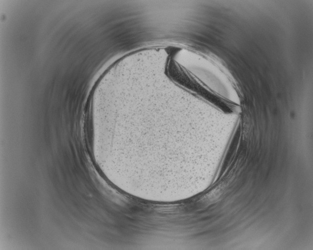 X0000062131484200601060845