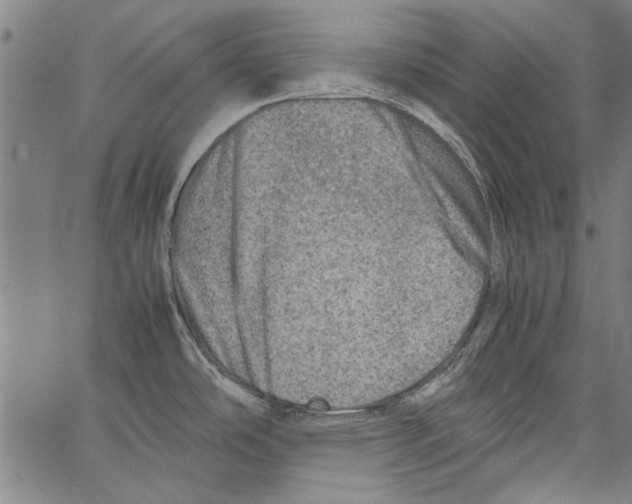 X0000062131486200601060844