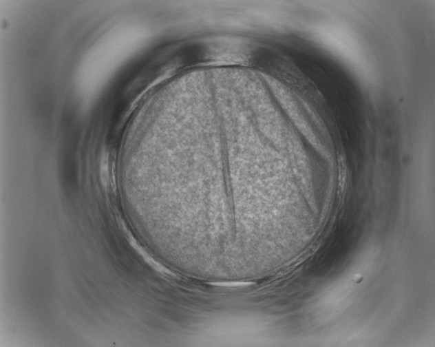 X0000062131487200601060844