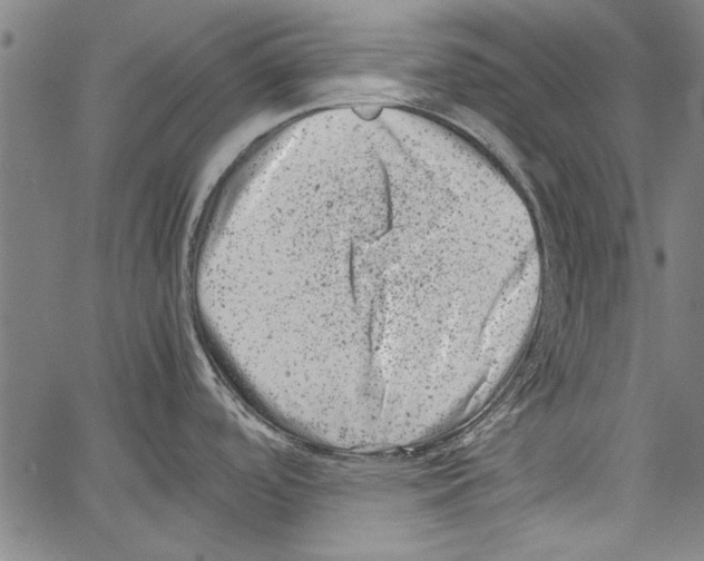 X0000062131488200601060844